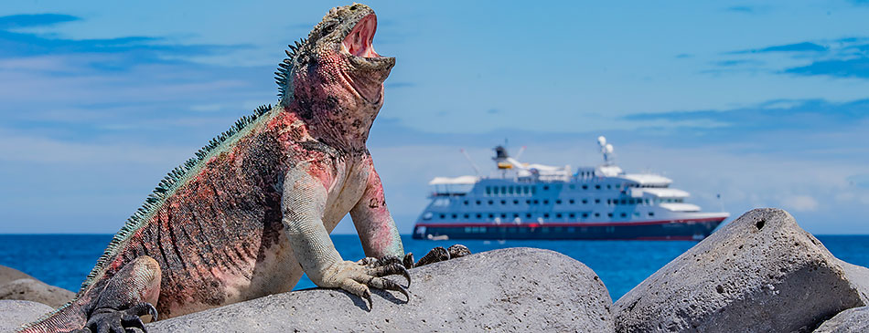 Hurtigruten